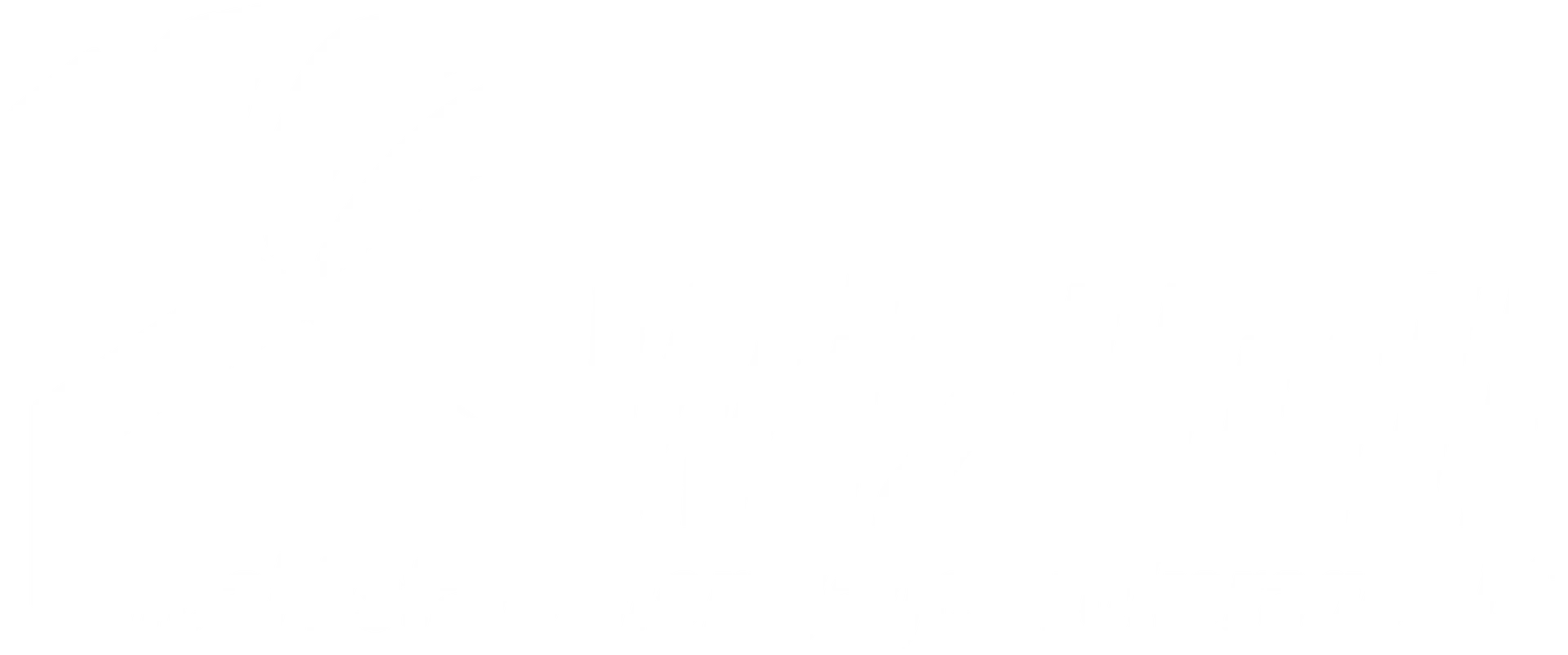 Wizhull Logo